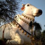 120125677 1574275922772195 4206225394409223967 n