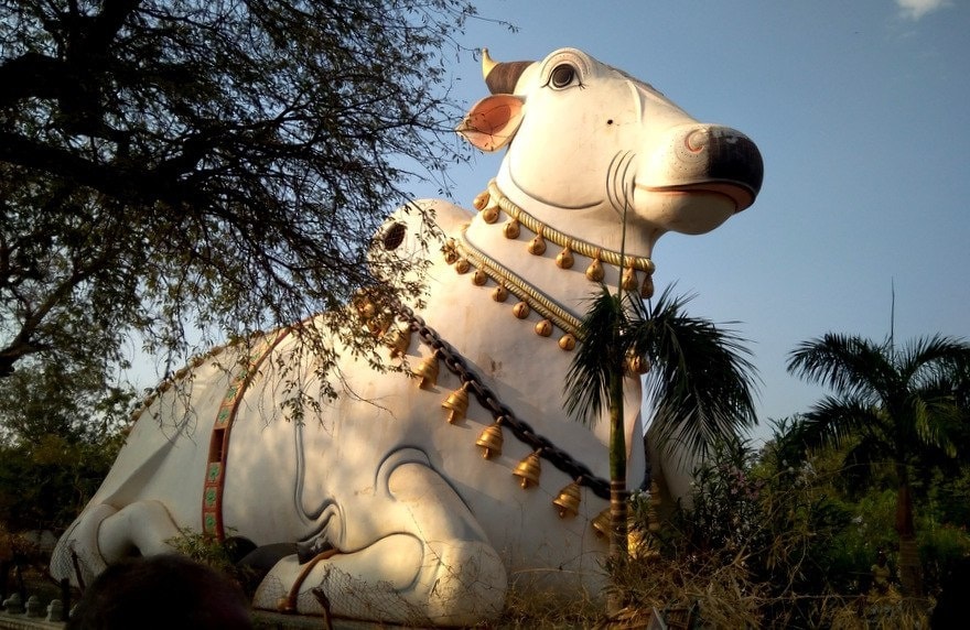 💧 Mahanandi Temple: The Shrine of Perennial Water 120125677 1574275922772195 4206225394409223967 n