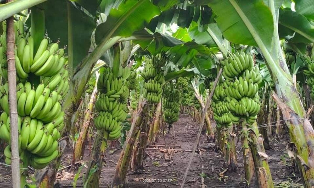 About 2140dee1a5434bd9e5dbb1b0b1813523 1