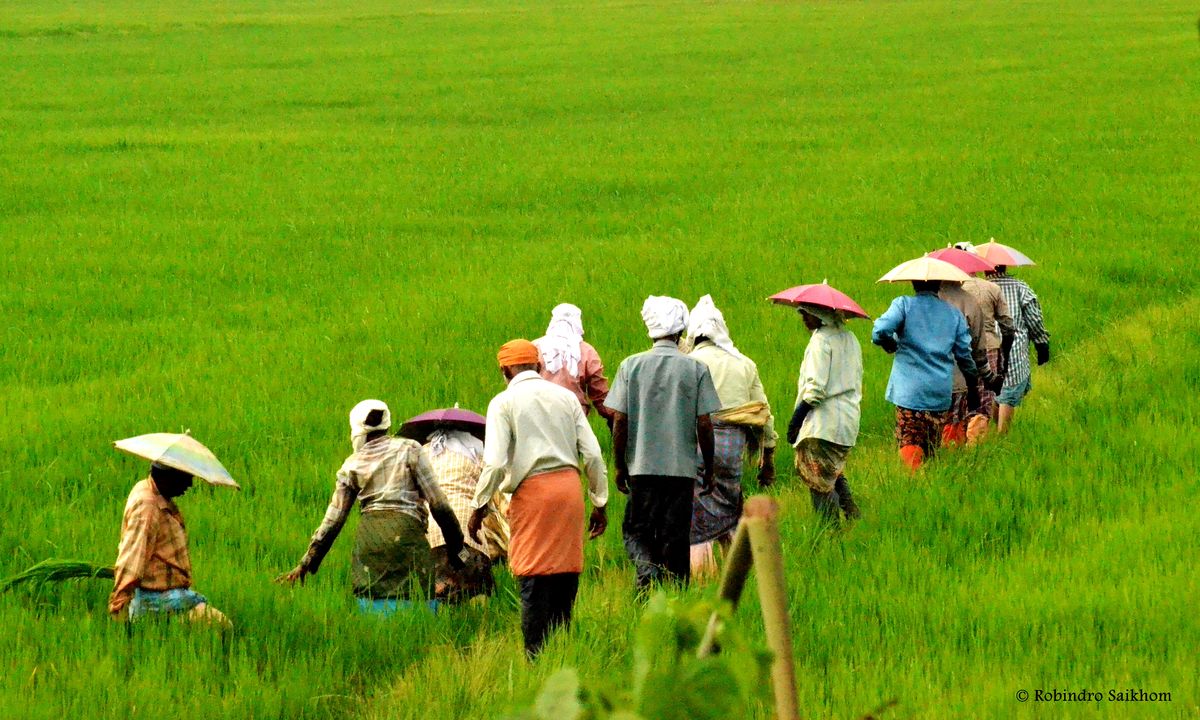 About b071f3feb099ac88d665a1fe51ca8087