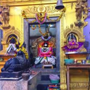 gvr mess and catering enjoy flavorful (10)