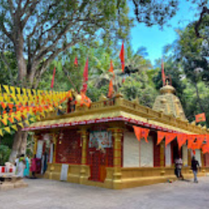 gvr mess and catering enjoy flavorful (11)