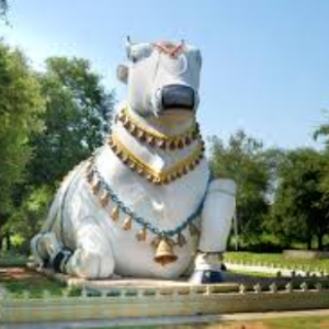 gvr mess and catering enjoy flavorful (7)