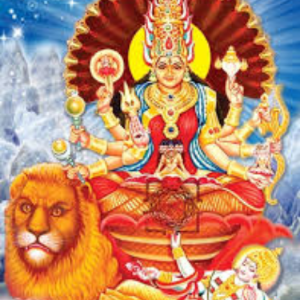 gvr mess and catering enjoy flavorful (8)