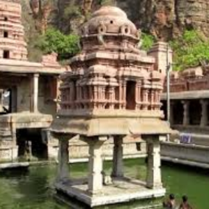 gvr mess and catering enjoy flavorful (9)