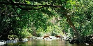 download 2025 11 25t070616.621