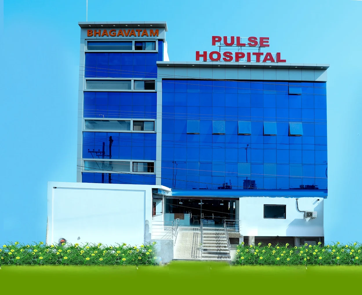 Pulse Hospital